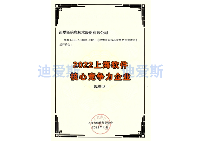 Shanghai Software Core Competitiveness Enterprise